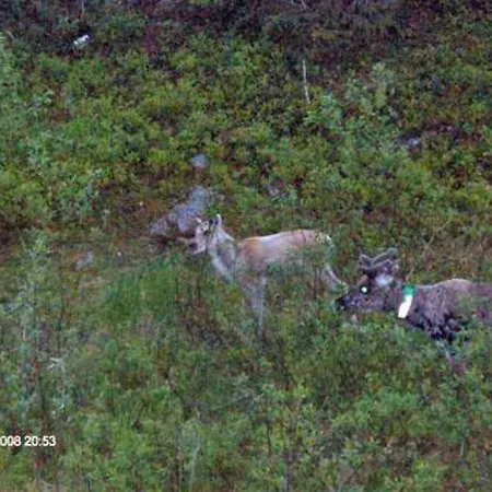 Nyaraló Holiday Rukan Etelarinne B Kuusamo